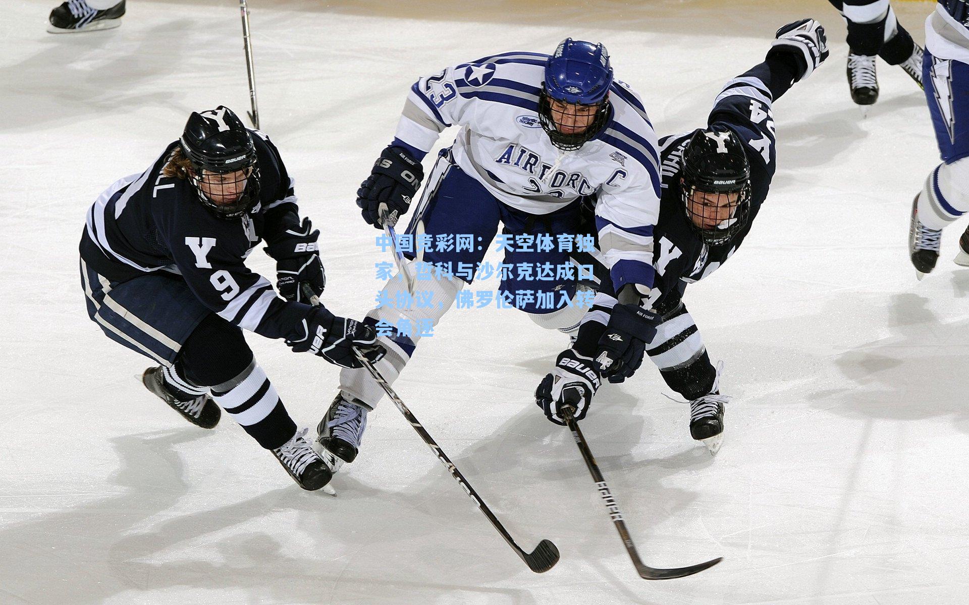 中国竞彩网：天空体育独家，哲科与沙尔克达成口头协议，佛罗伦萨加入转会角逐